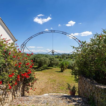Classical Villa Anta Ágios Ioánnis Extérieur photo