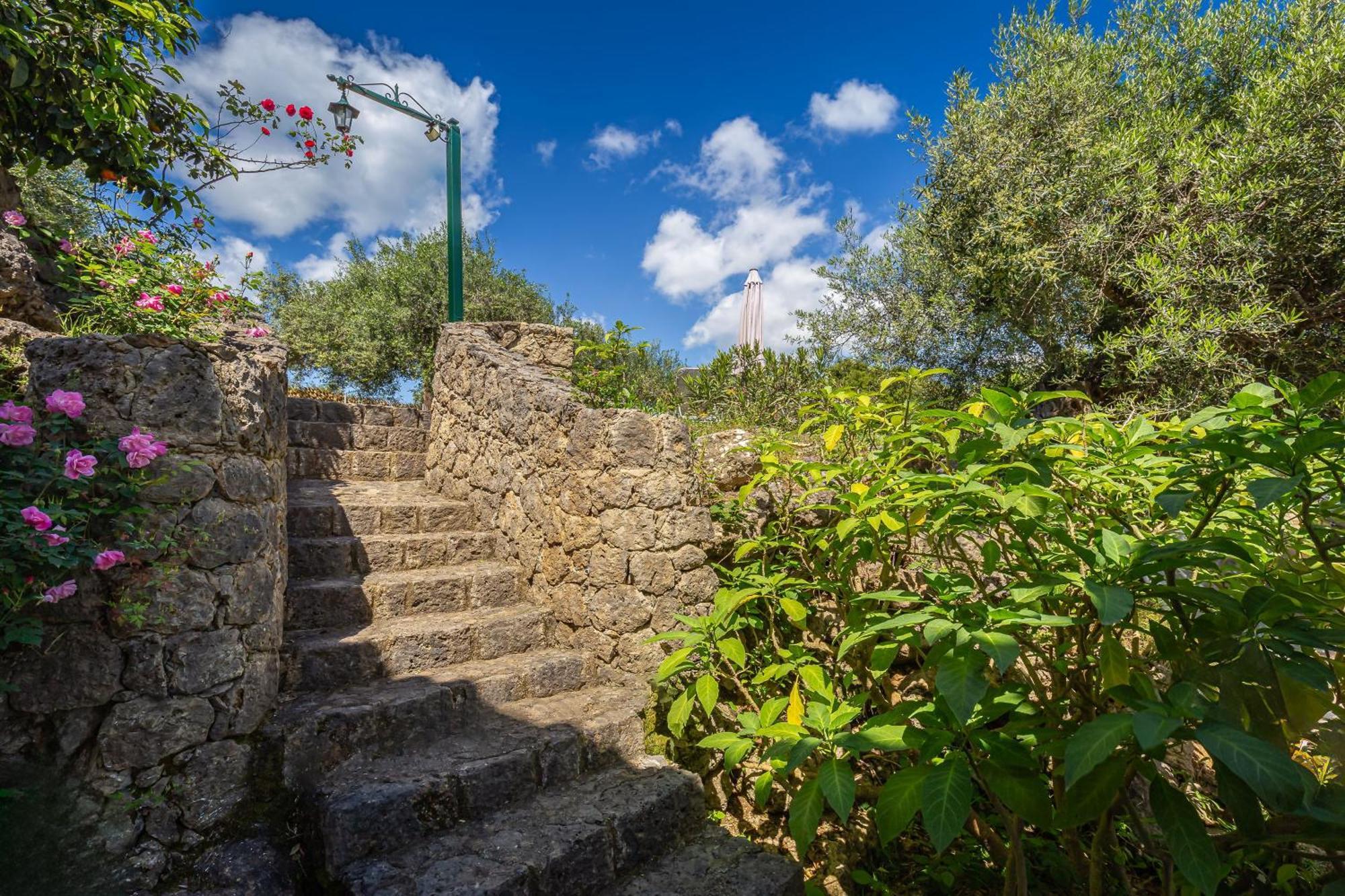 Classical Villa Anta Ágios Ioánnis Extérieur photo